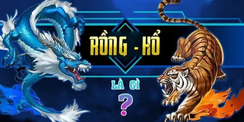Mẹo chơi rồng hổ hiệu quả tại Gemwin